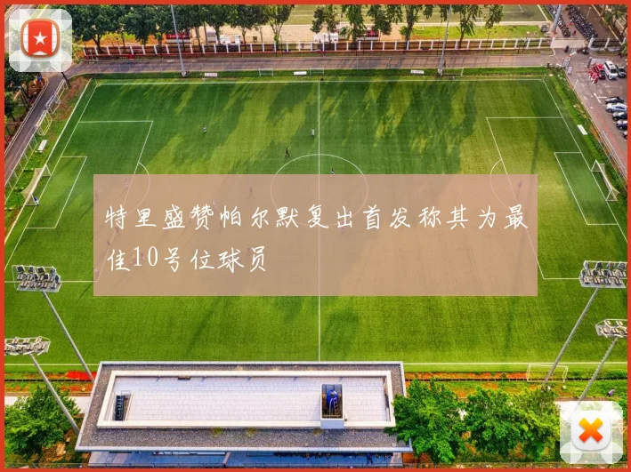 特里盛赞帕尔默复出首发称其为最佳10号位球员