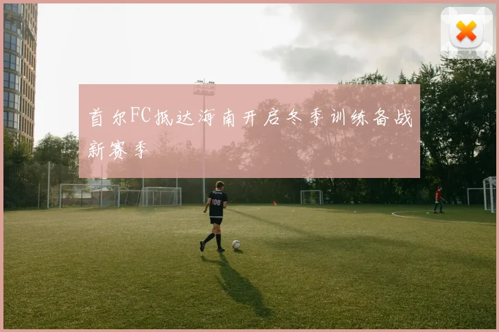首尔FC抵达海南开启冬季训练备战新赛季
