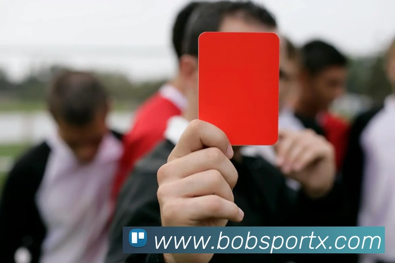 BOB体育APP 封面图